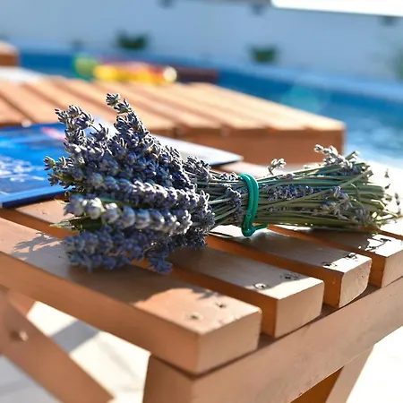 Navita Augustinus With Pool * Debeljak