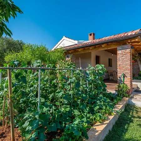 Navita Augustinus With Pool *