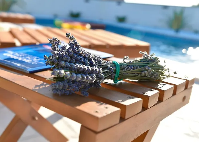 Navita Augustinus With Pool * Debeljak